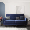 Veluvia Loveseat with Tufted Back