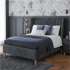 Sarome Upholsery cot without Storage