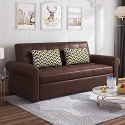 Somnio Modern design sofa cum bed