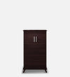 Hexa-2Door-shoe Cabinet-in-Columbia Walnut Finish
