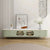 Texo Luxury TV Unit in Green