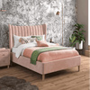 Sarome Upholsery cot without Storage