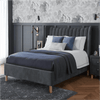 Sarome Upholsery cot without Storage