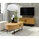 Nicola Mid-Century Modern Rounded Sliding Door Coffee Table