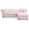 Adnelis Sectional Sofa with 2 Pillows