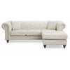 Adnelis Sectional Sofa with 2 Pillows