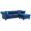 Adnelis Sectional Sofa with 2 Pillows